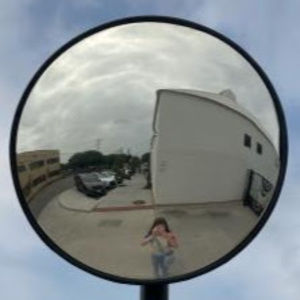 Meet your Posher, Daisy